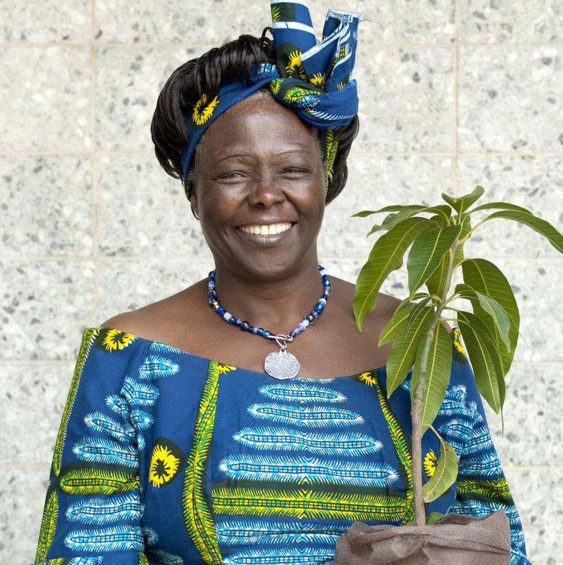 Peace on Earth Estelle Price Beyond Borders Scotland